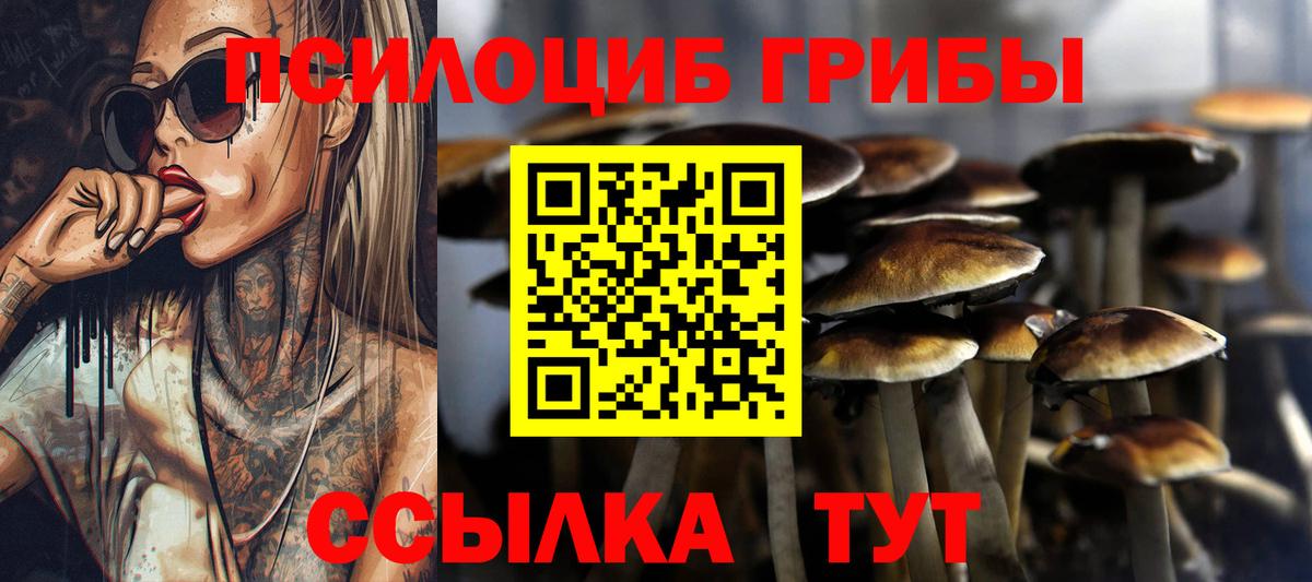 Псилоцибиновые грибы Psilocybine cubensis  Вход с VPN  Сланцы 
